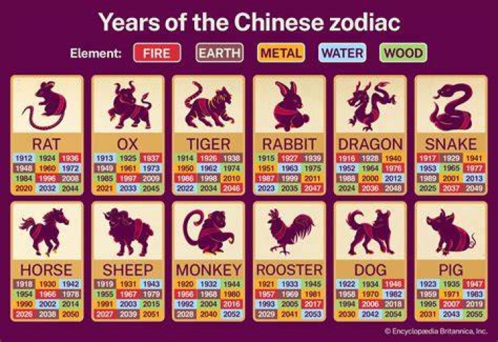 1976 Chinese Calendar Animal: Discover Your Zodiac Sign and Its Significance