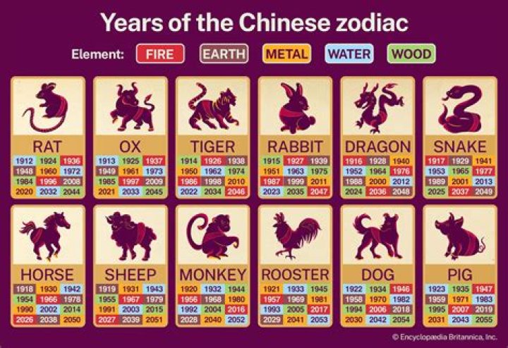 1976 Is the Year of What Animal? Unveiling the Mystical Zodiac Sign