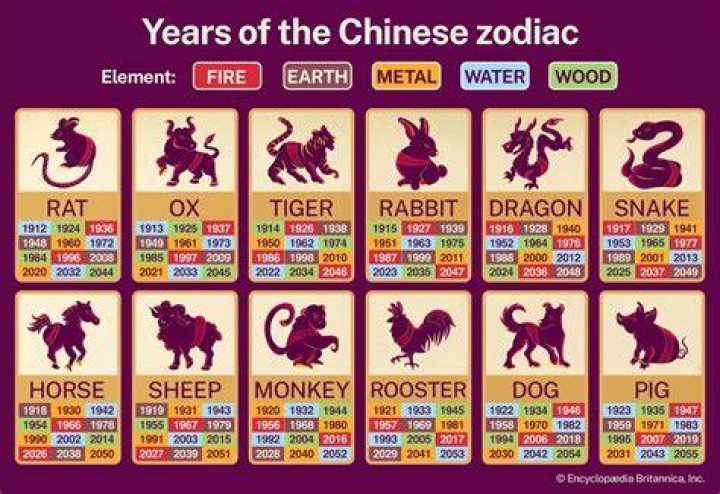 1986 Chinese Zodiac Element: Discovering the Fire Dog's Traits, Influence, and Significance