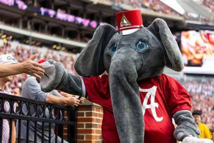 Alabama Elephant Mascot Origin: Unveiling the Fascinating Story Behind the Iconic Symbol