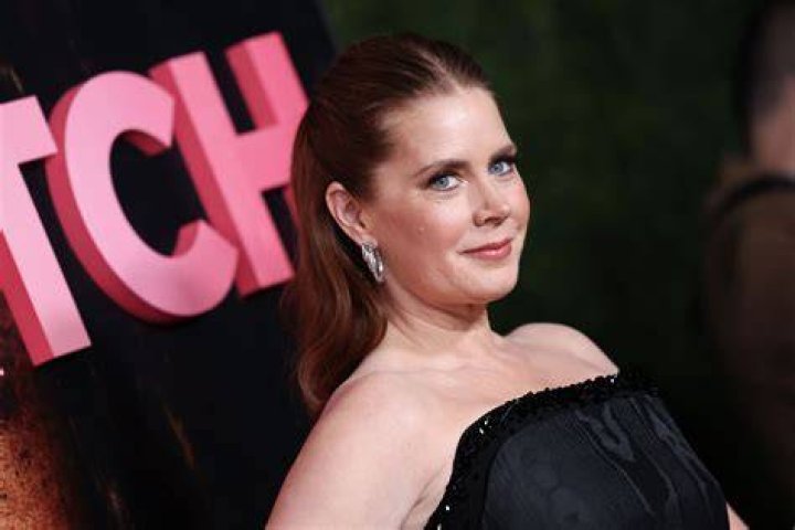 Amy Adams: Debunking the 