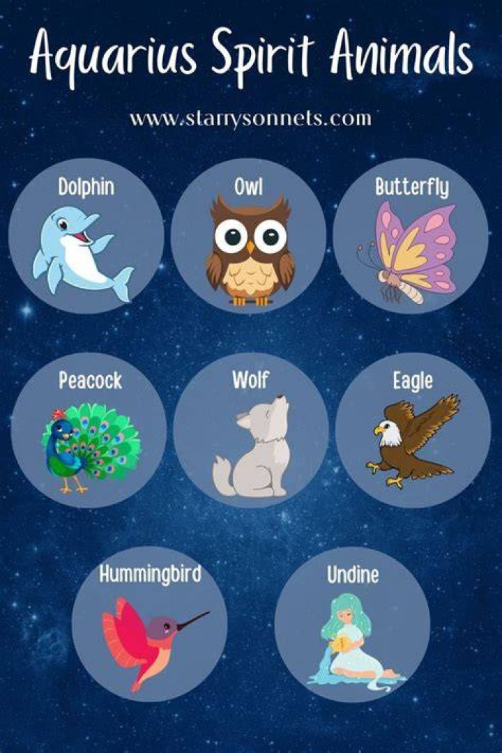 Aquarius Animal: Discover the Symbolic Meaning and Traits of Your Zodiac Spirit