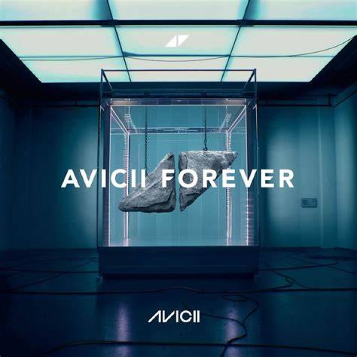 Avicii CD: A Musical Legacy That Lives On