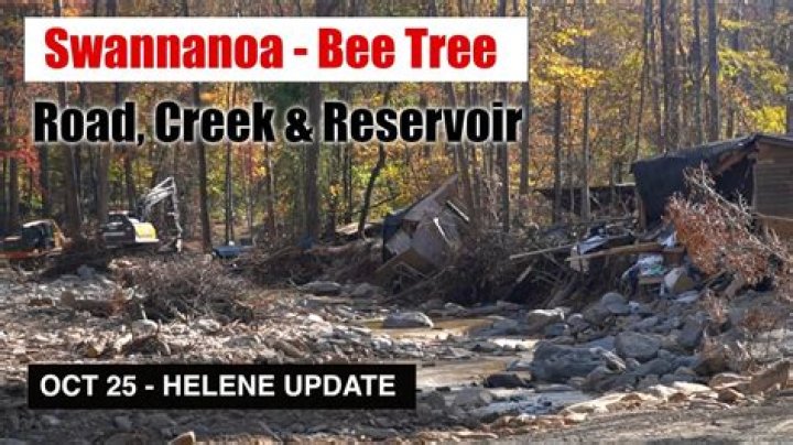 Bee Tree Dam: A Comprehensive Guide to Its History, Importance, and Environmental Impact