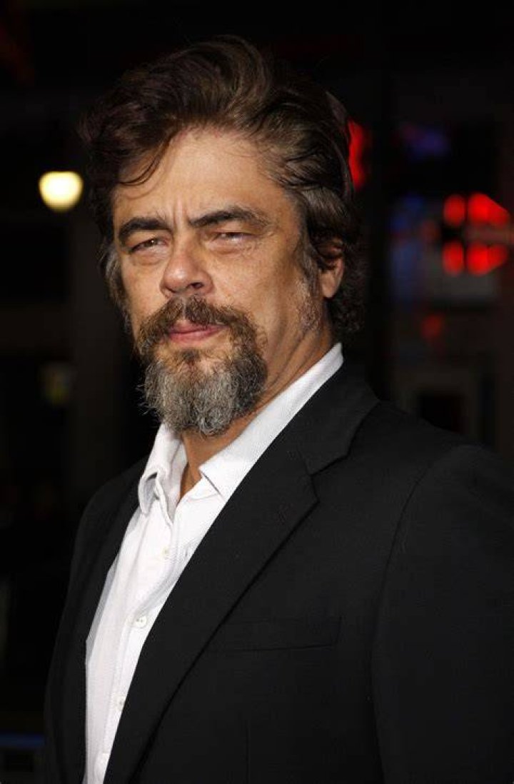 Benicio Del Toro: The Enigmatic Actor Who Shines on Screen