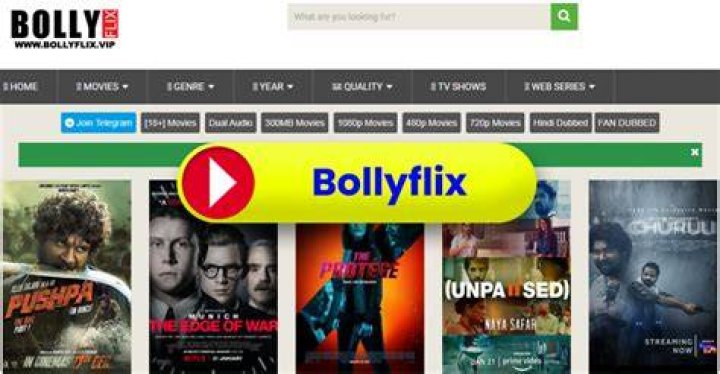BollyFlix Official Site: Your Ultimate Guide to Streaming Bollywood