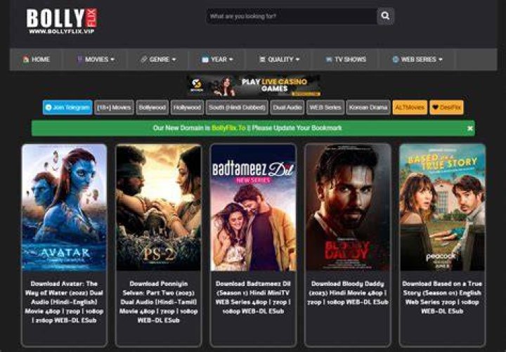 BollyFlix: Your Ultimate Guide to Downloads and Entertainment
