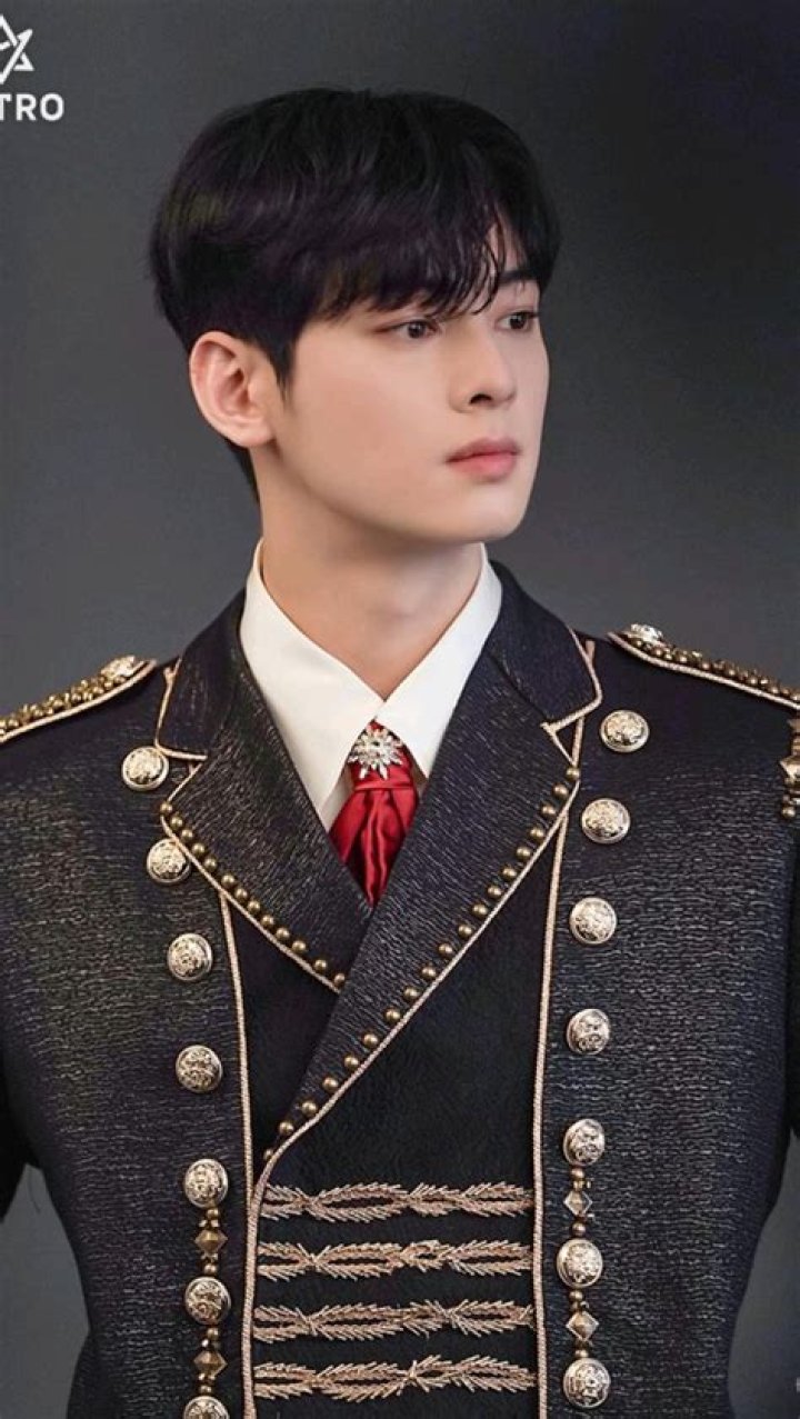 Cha Eunwoo Engagement: The Untold Story Behind the Hype