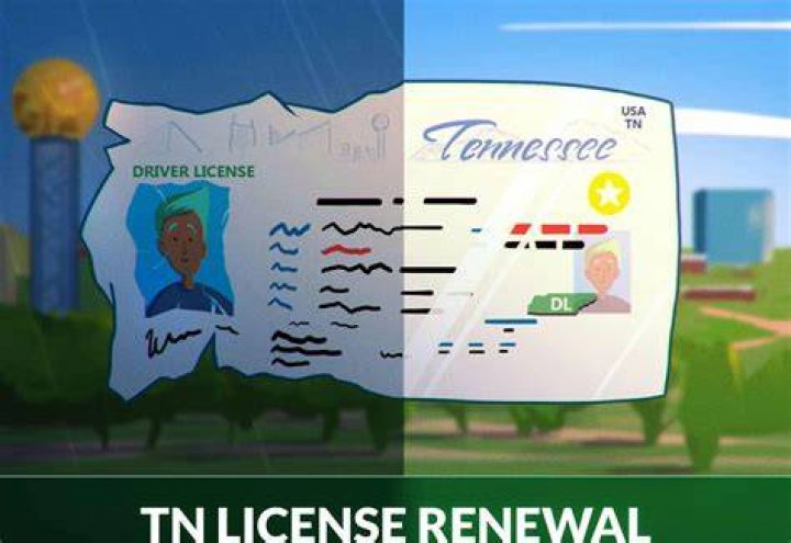 Comprehensive Guide to NCDMV Renew License: Everything You Need to Know