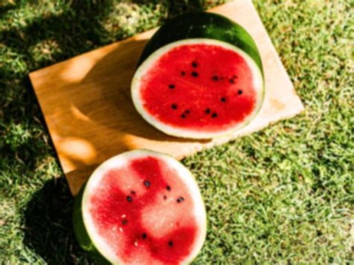 Countryong About Watermelon: A Comprehensive Exploration of the Juiciest Fruit