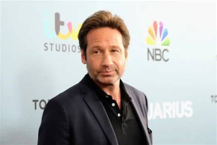 David Duchovny Net Worth: A Comprehensive Look at the Actor's Wealth and Career