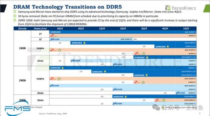 DDR 2025: The Future of Dynamic Data Revolution is Here!