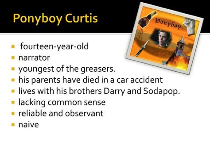 Describe Ponyboy Curtis: An In-Depth Analysis of a Beloved Character