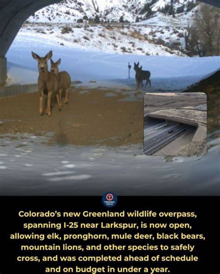 Discover the Natural Wonders of Colorado Parks and Reconnect with Wildlife