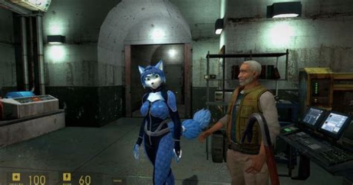 Discover the Story Behind Star Fox Adventures: Krystal Voice Actor