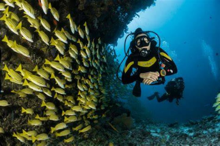 Dive Into the World of Dive Hanime: Your Ultimate Guide