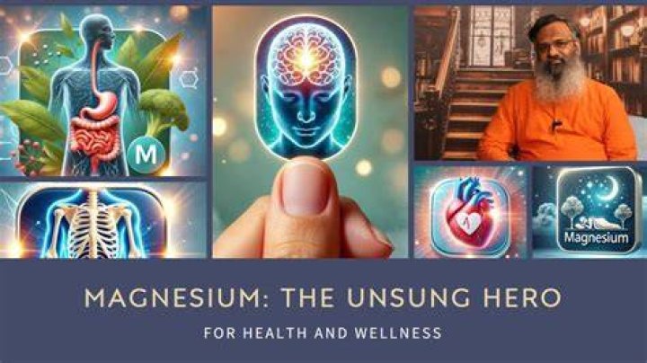 Dr Steamy: The Unsung Hero of Modern Wellness