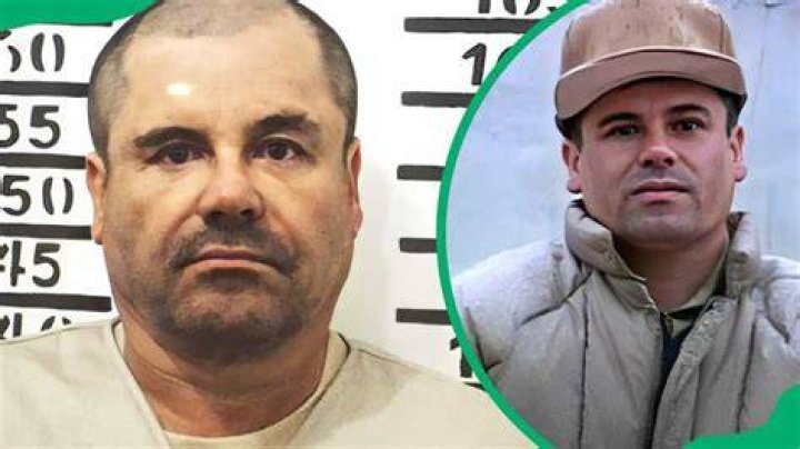 El Chapo Net Worth: Unveiling the Wealth of the World's Most Infamous Drug Lord