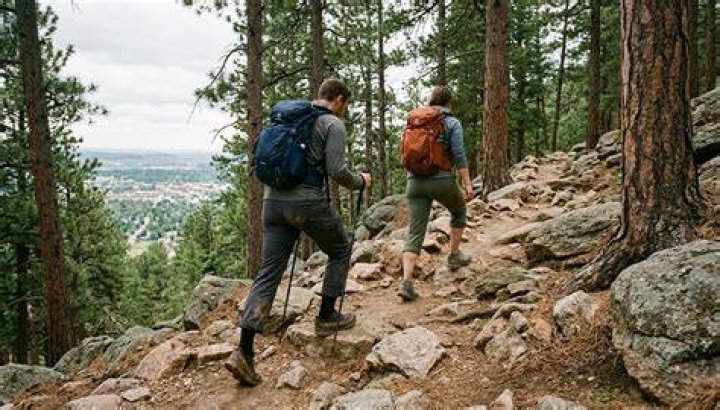 Explore the Mountain Heart Flagstaff AZ: A Complete Guide to Nature, Adventure, and Community