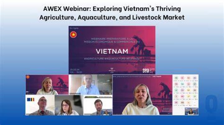 Exploring Baonguoiviet Rao Vat: A Comprehensive Guide to Vietnam's Thriving Marketplace