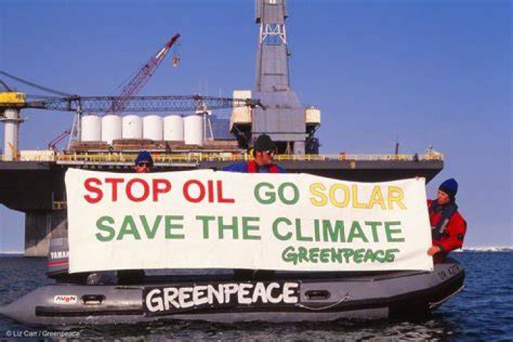 Greenpeace: Saving Our Planet, One Step at a Time