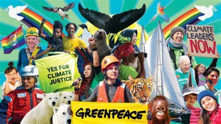 Greenpeace Trial: The Untold Story Behind Environmental Activism