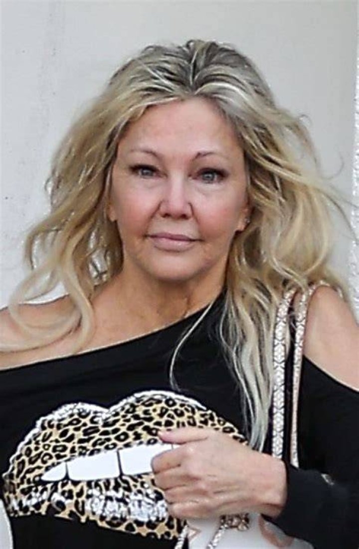 Heather Locklear: A Comprehensive Look at Her Career, Life, and Legacy