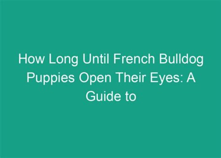 How Long Until Puppies Open Their Eyes: A Comprehensive Guide for Dog Owners