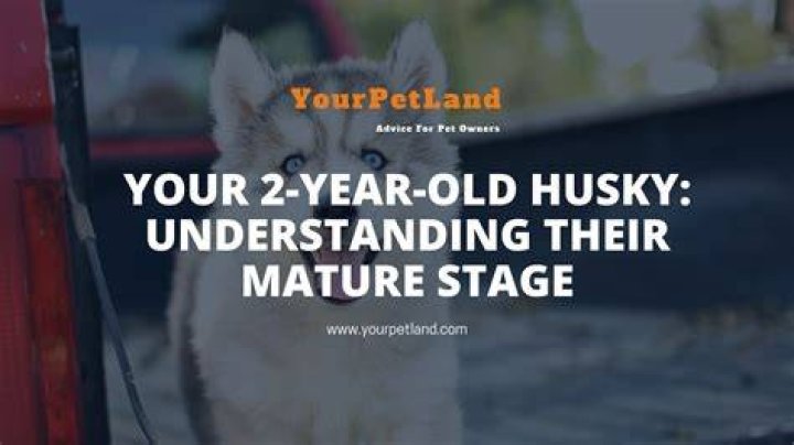 How Old is Deeurvivor? A Comprehensive Guide to Understanding Their Age and Journey