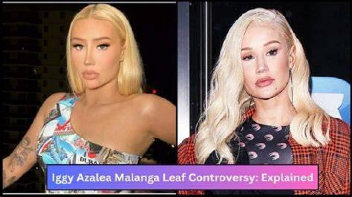 Iggy Azalea OnlyFansLeaks: The Truth Behind the Controversy