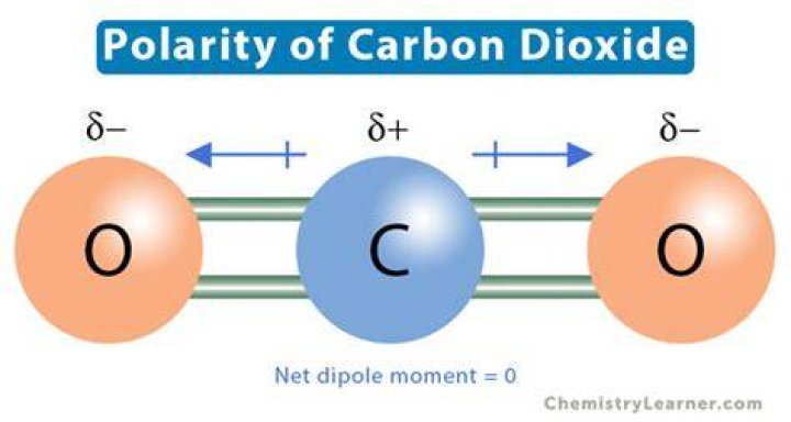 Is Carbon Dioxide Polar? A Comprehensive Guide to Understanding Molecular Polarity