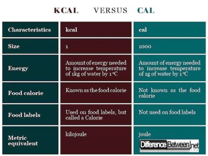 Kcal vs Calories: Understanding the Differences and Their Impact on Your Health