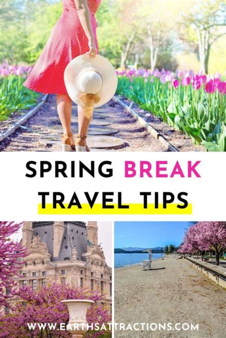 Keeping Your Spring Break Travel Trouble-Free: Your Ultimate Guide
