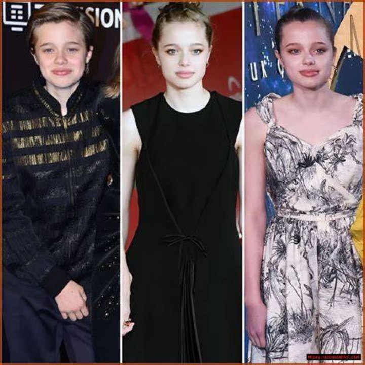 Knox Pitt: The Rising Star in Hollywood