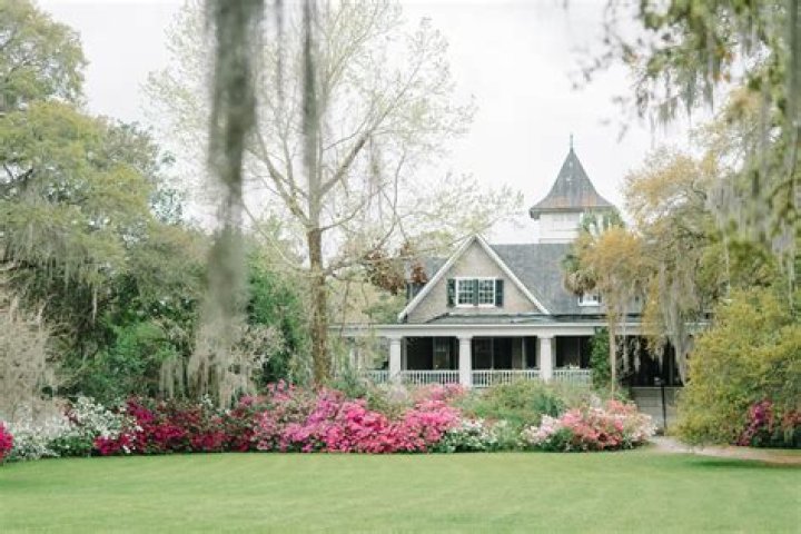 Magnolia Plantation: A Historical and Scenic Journey Through Time