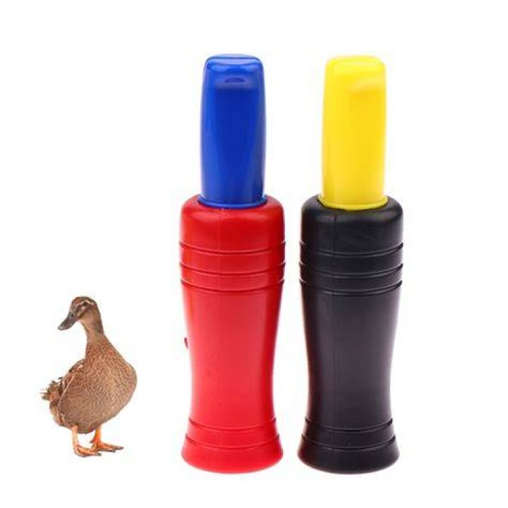 Mastering How to Duck Call: The Ultimate Guide for Duck Hunting Enthusiasts