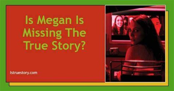Megan Is Missing: A True Story That Sheds Light on Modern-Day Dangers
