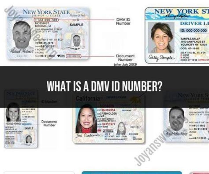 Norwalk DMV Phone Number: A Comprehensive Guide to Streamline Your DMV Experience
