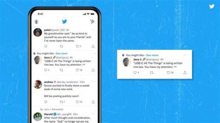 NSFW Twitter: Understanding the Controversial Side of Social Media