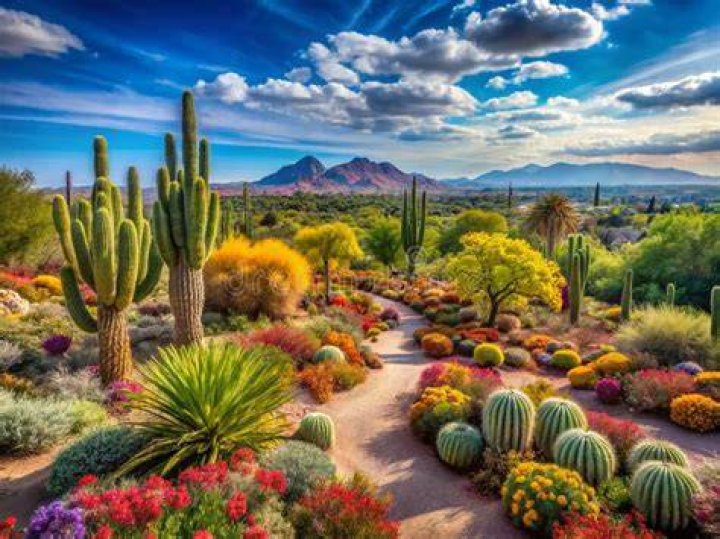 Phoenix Flower Gardens: A Blooming Paradise in the Desert