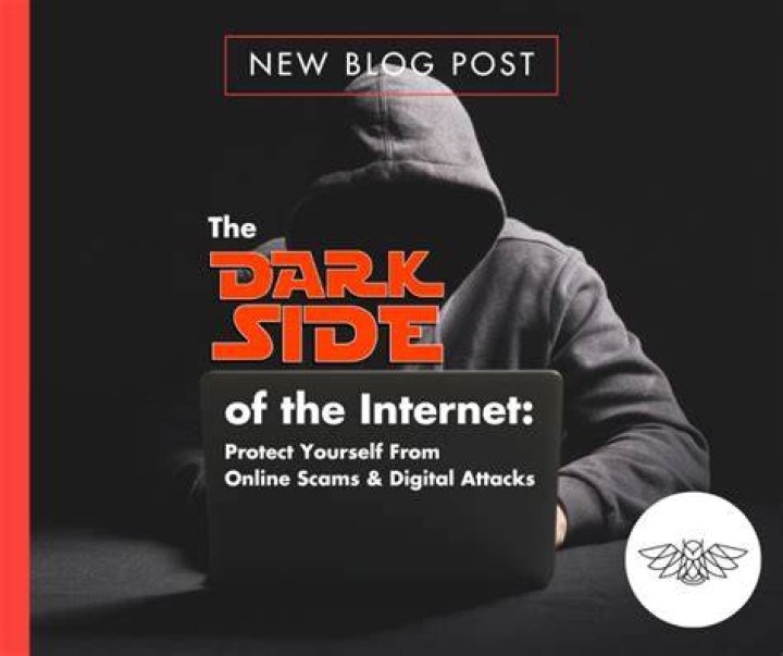 Pirated Course: The Dark Side of Online Learning and How to Protect Yourself