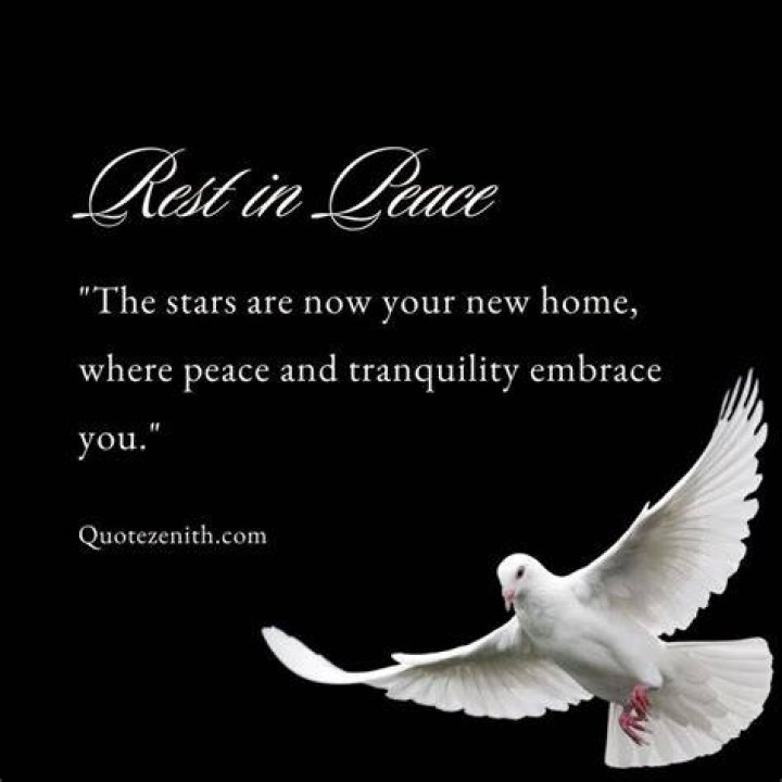 RIP Definition: Understanding the Meaning and Significance Behind 