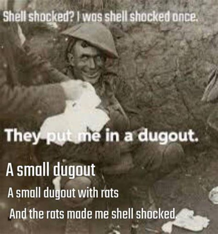 Shellshocked Meme: The Ultimate Guide to Understanding Its Origins and Popularity