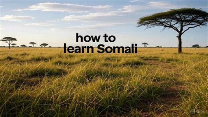 Somali TV: The Ultimate Guide to Discovering the Rich Cultural Landscape