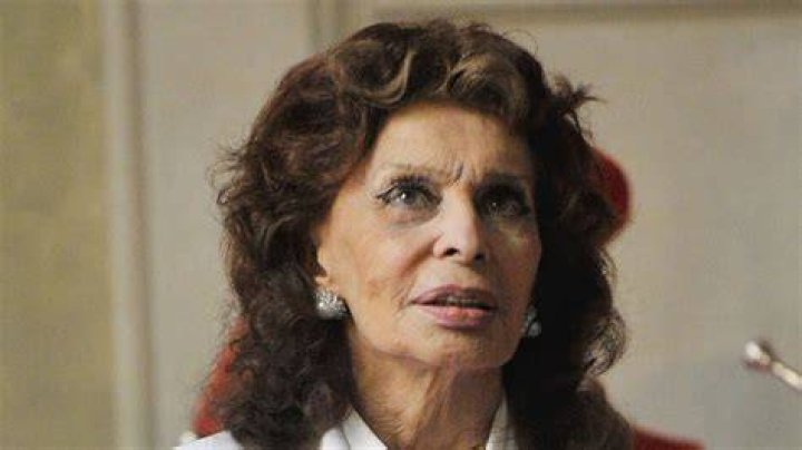 Sophia Loren 2025: A Timeless Icon's Journey Through the Decades
