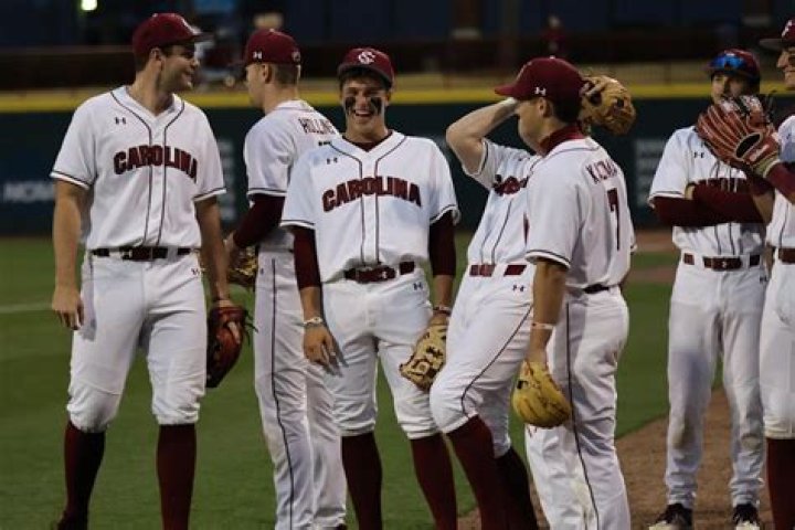 South Carolina Gamecocks Baseball Team: A Comprehensive Guide to Their Legacy and Achievements