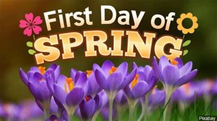 Spring Awakening: The 1st Day of Spring 2025 is Here!