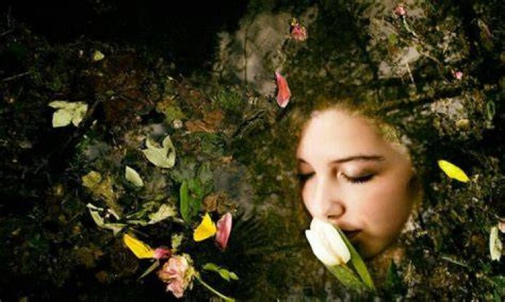 Tetonas Viejas: A Comprehensive Dive Into the World of Aging and Beauty