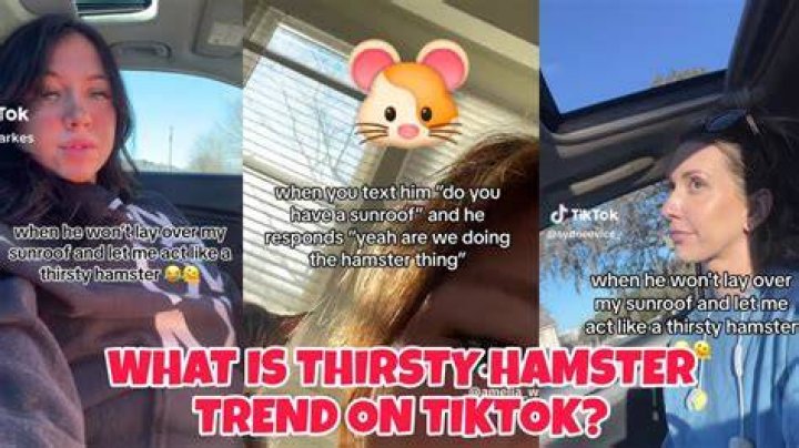 Thirsty Hamster Trend: Unveiling the Viral Phenomenon