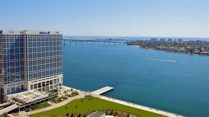 Top Restaurants Near Hilton Petersburg Bayfront: A Foodie's Paradise